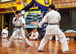 Hokama Karate Dōjō and Okinawa Prefectural Karate Museumサムネイル画像3