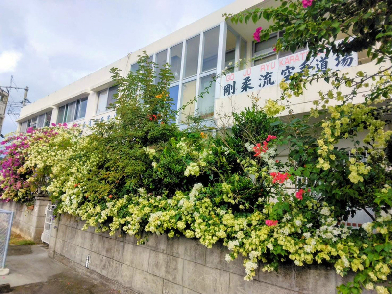 Okinawa Karatedō Gōjūkai Meibukan Taira Dōjōメイン画像2