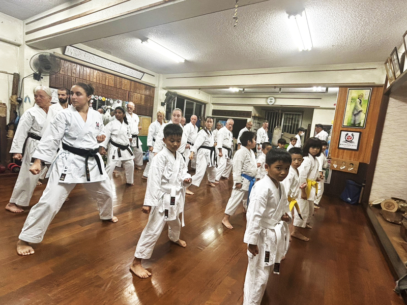 Shuri Karate Kobudō Hozonkai Shūbukan Uema Dōjōメイン画像2