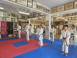 Okinawa Karatedō Shōrin-ryū Taishinkan Association Honbu Dōjōサムネイル画像3