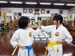 Okinawa Karatedo Kobudo Shorin-ryu Bushinkan Main Dojo Kawasaki Dojoサムネイル画像7