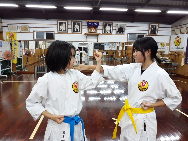 沖縄空手道古武道小林流武心舘 本部 川崎道場メイン画像7