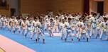 Okinawa Gojuryu Karatedo Shodokan Haebaru Sohonbu Dojoサムネイル画像2