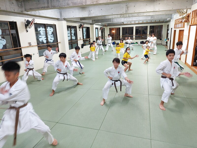 Uechi-ryū Karatedō Kenyūkai Higa Dōjō