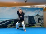 Yōmeikan Yoshihira Dōjōサムネイル画像4