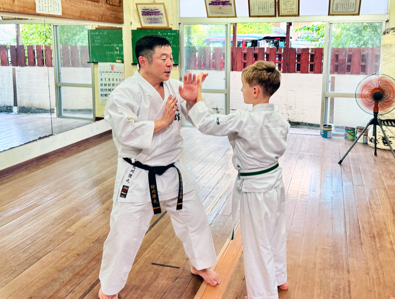 Shorin-Ryu Kyudokan Midorikawa Dojoメイン画像3