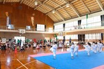 Uechi-ryū Karatedō & Ryūkyū Kobudū Ryūshikai Aja Shūbukanサムネイル画像4